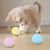 Interactive Ball Catnip Cat Toys